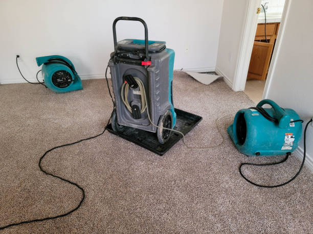 Best Water damage restoration near me  in Carroll Valley, PA