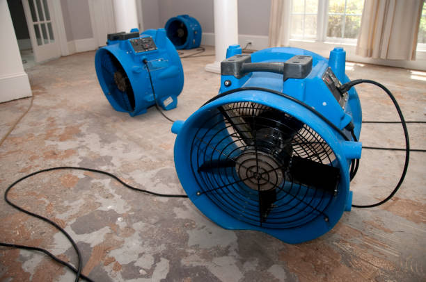 Best Flooded house restoration  in Carroll Valley, PA