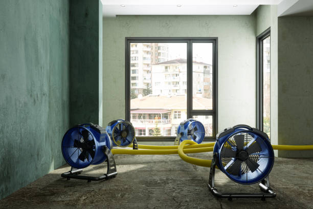 Best Basement water damage restoration  in Carroll Valley, PA